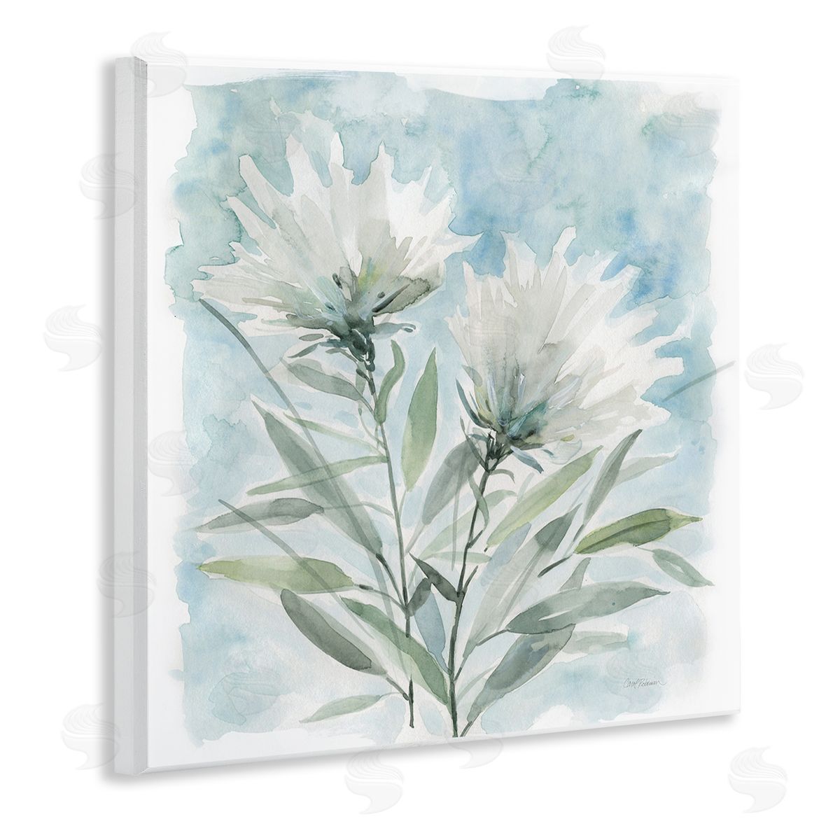 Carol Robinson Abstract Watercolor Florals White Petals Blue Sky Wooden Wall Plaque Art Print
