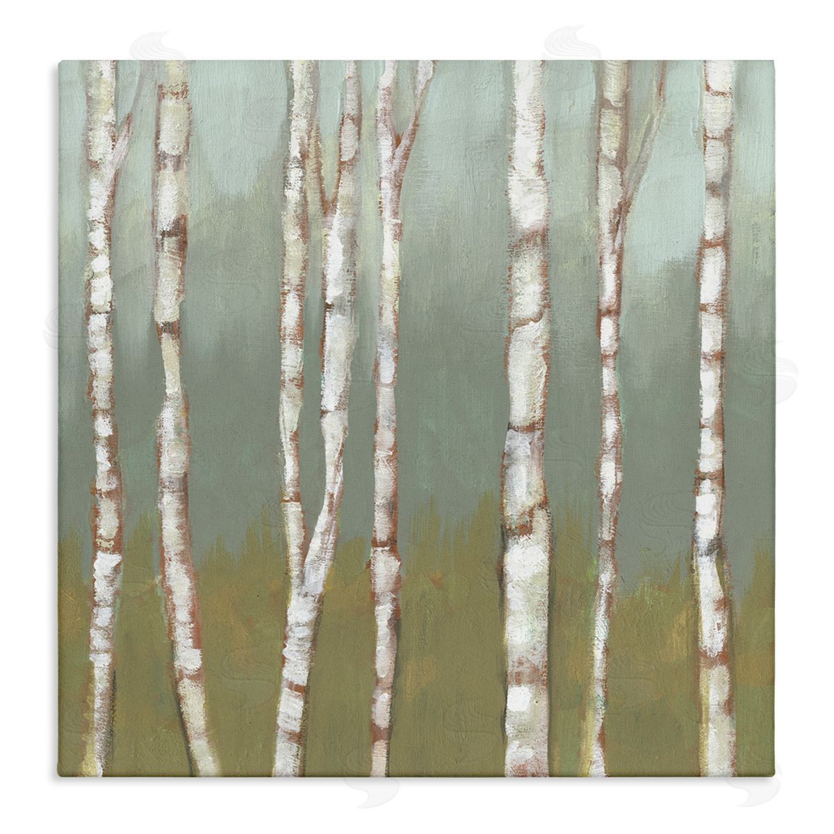 Jennifer Goldberger Contemporary Birch Tree Forest Striped White Bark Painting Stretched Canvas Wall Art Print