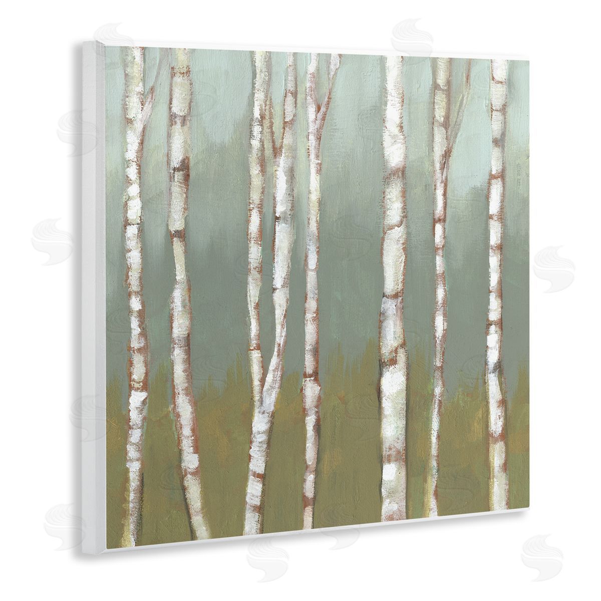 Jennifer Goldberger Contemporary Birch Tree Forest Striped White Bark Painting Wooden Wall Plaque Art Print