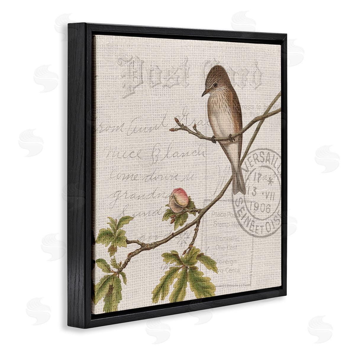 Kim Allen Song Bird Tree Branch Vintage Postal Card Pattern Black Floating Frame Canvas Wall Art Print