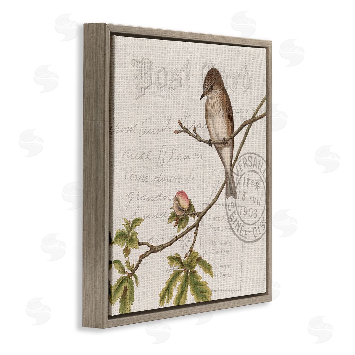 Kim Allen Song Bird Tree Branch Vintage Postal Card Pattern Brown Floating Frame Canvas Wall Art Print