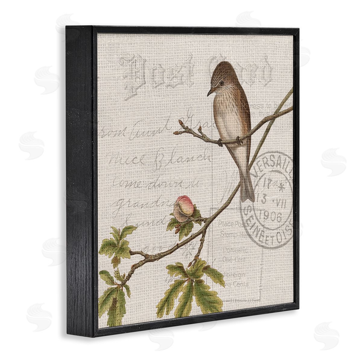 Kim Allen Song Bird Tree Branch Vintage Postal Card Pattern Black Framed Glicee Wall Art Print