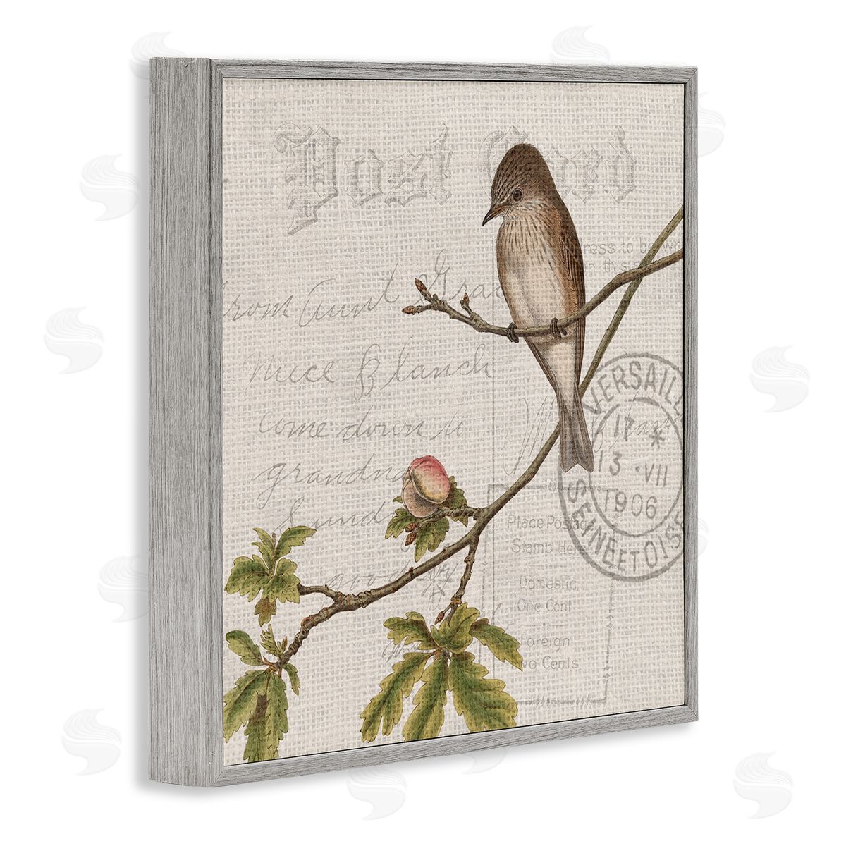 Kim Allen Song Bird Tree Branch Vintage Postal Card Pattern Gray Framed Glicee Wall Art Print