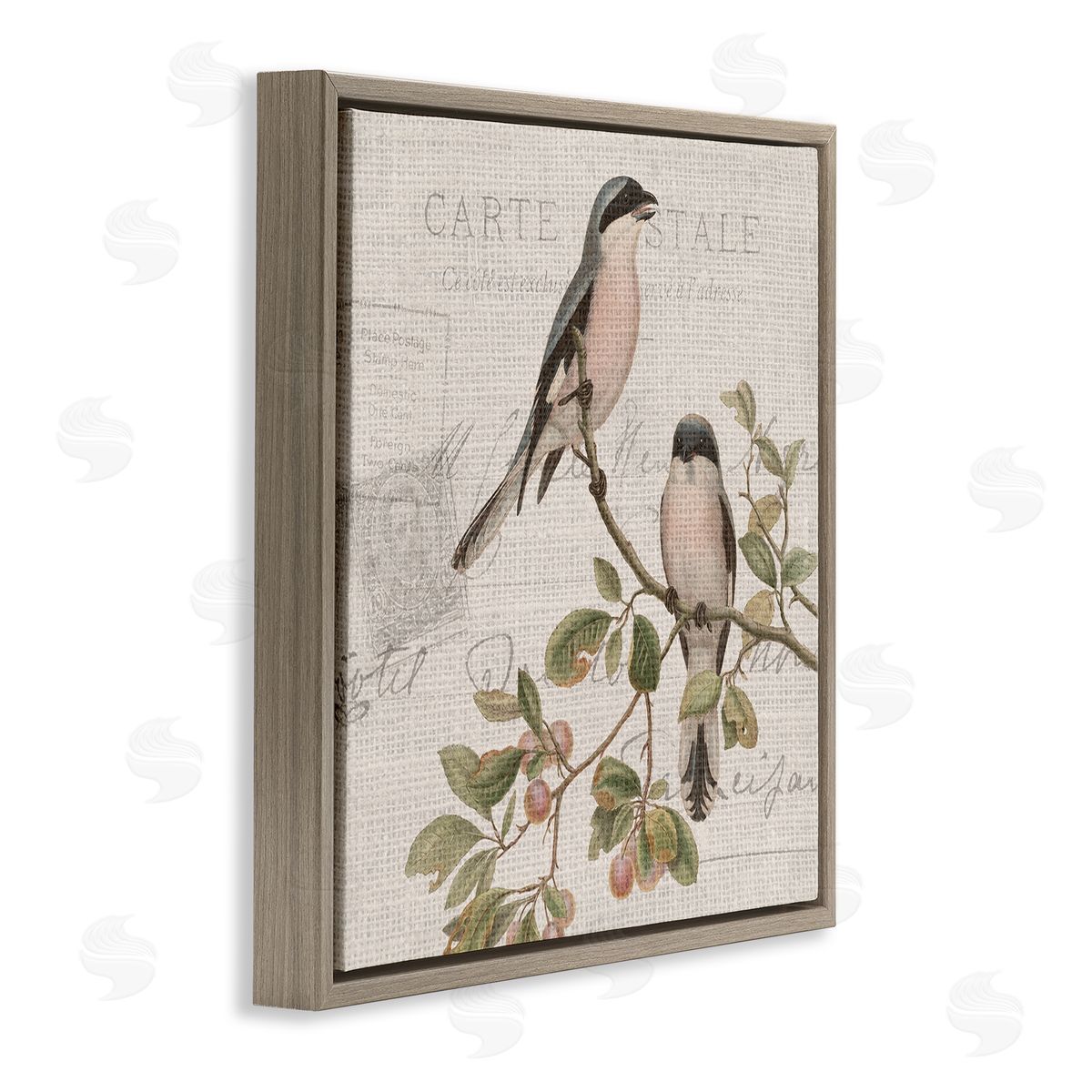 Kim Allen Summer Birds Tree Branch Antique European Postal Pattern Brown Floating Frame Canvas Wall Art Print