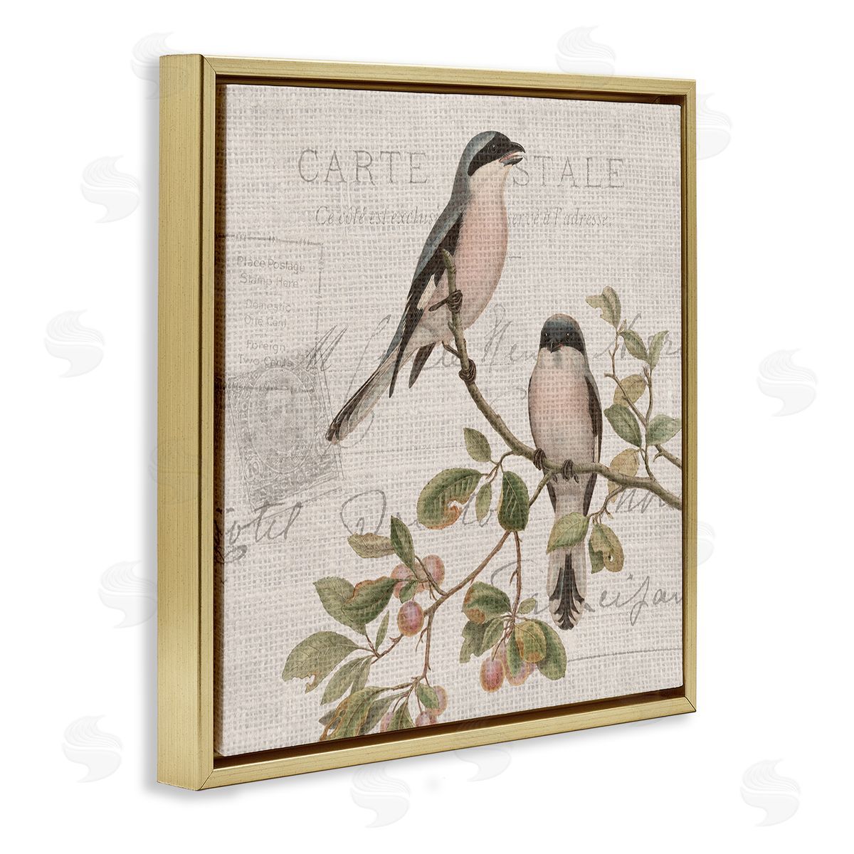 Kim Allen Summer Birds Tree Branch Antique European Postal Pattern Gold Floating Frame Canvas Wall Art Print