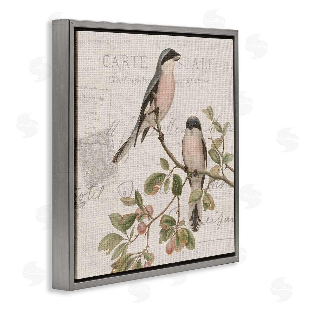Kim Allen Summer Birds Tree Branch Antique European Postal Pattern Gray Floating Frame Canvas Wall Art Print