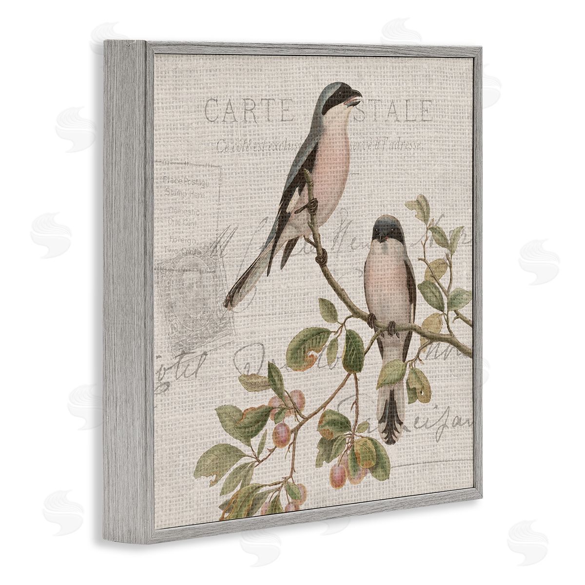 Kim Allen Summer Birds Tree Branch Antique European Postal Pattern Gray Framed Glicee Wall Art Print
