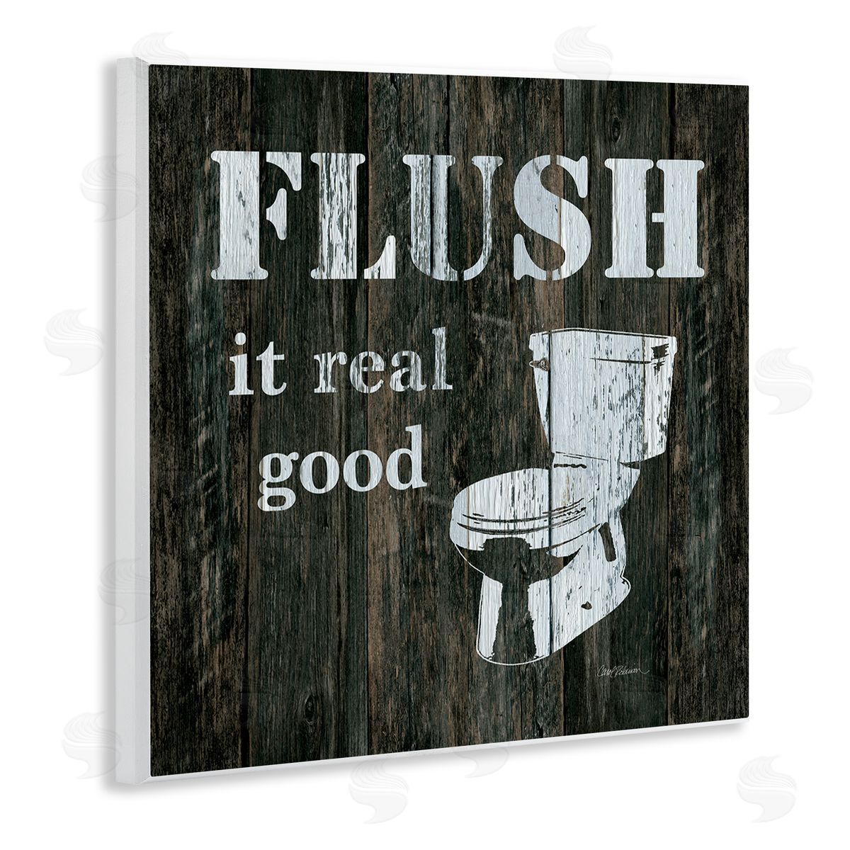 Carol Robinson Flush It Real Good Phrase Vintage Rustic Toilet Wooden Wall Plaque Art Print