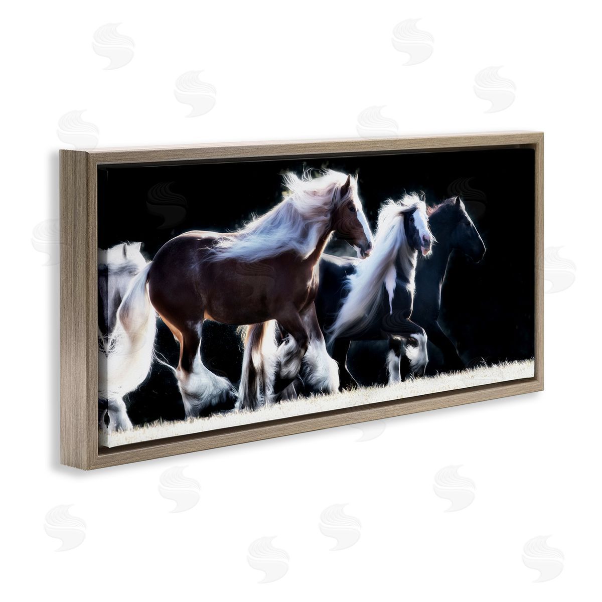 PH Burchett Colt Horse Stampede Country Field Modern Equestrian Photography