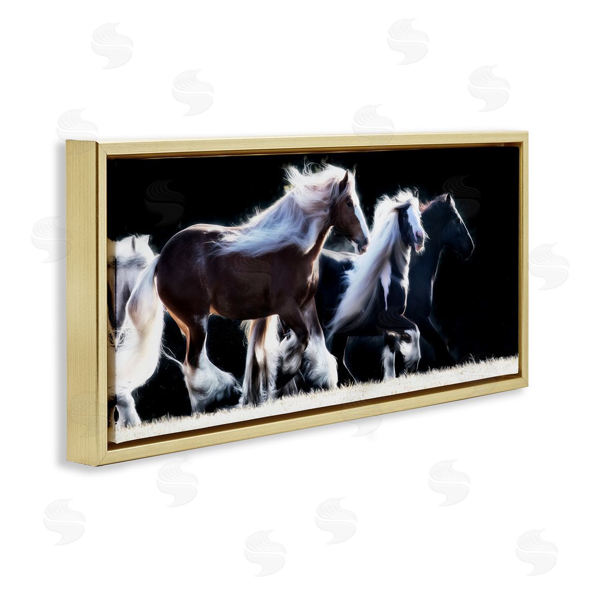 PH Burchett Colt Horse Stampede Country Field Modern Equestrian Photography