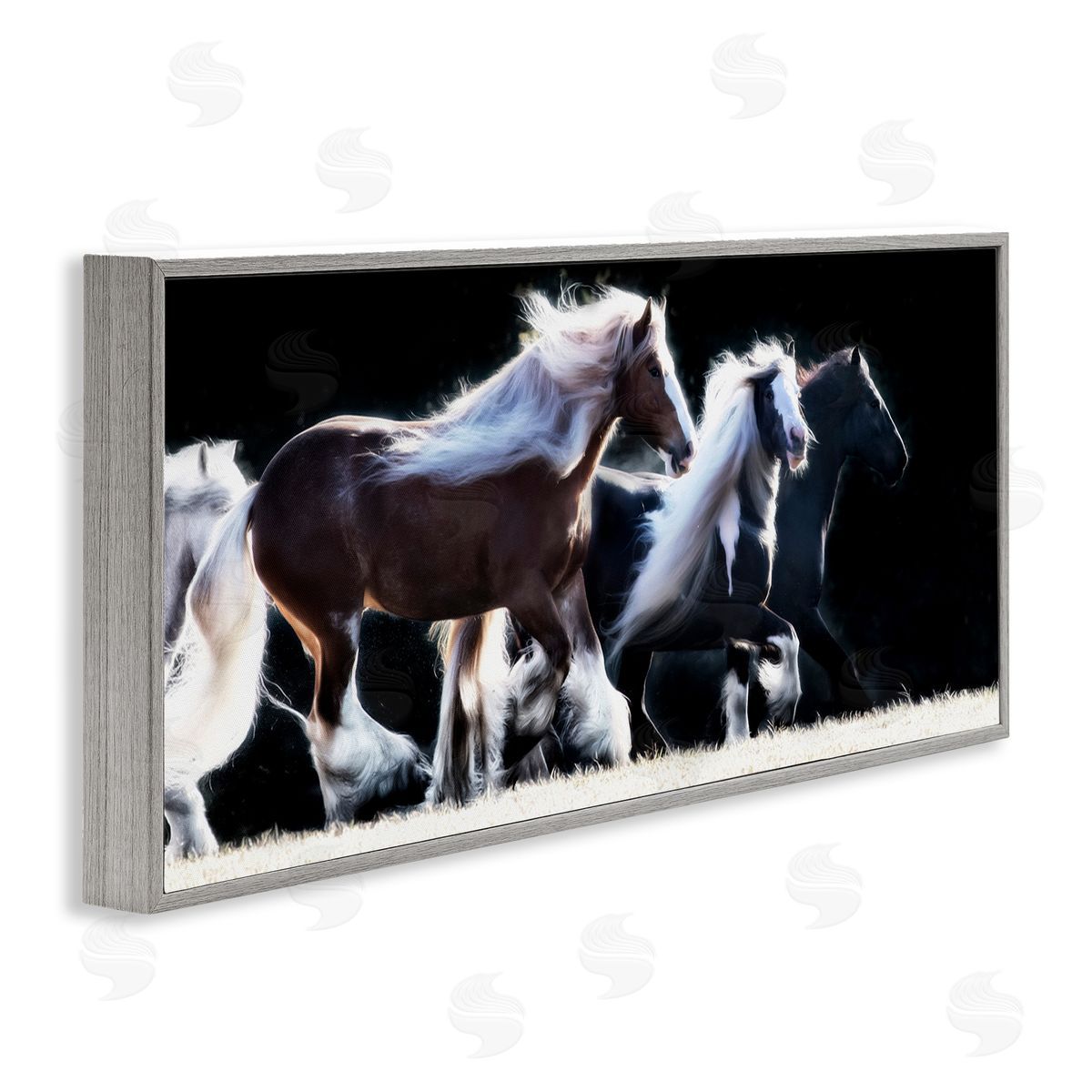 PH Burchett Colt Horse Stampede Country Field Modern Equestrian Photography