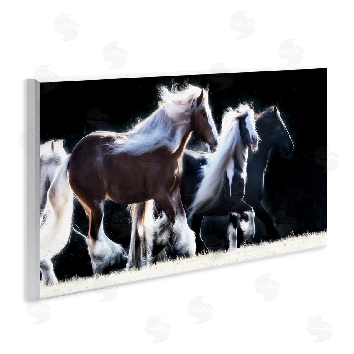 PH Burchett Colt Horse Stampede Country Field Modern Equestrian Photography