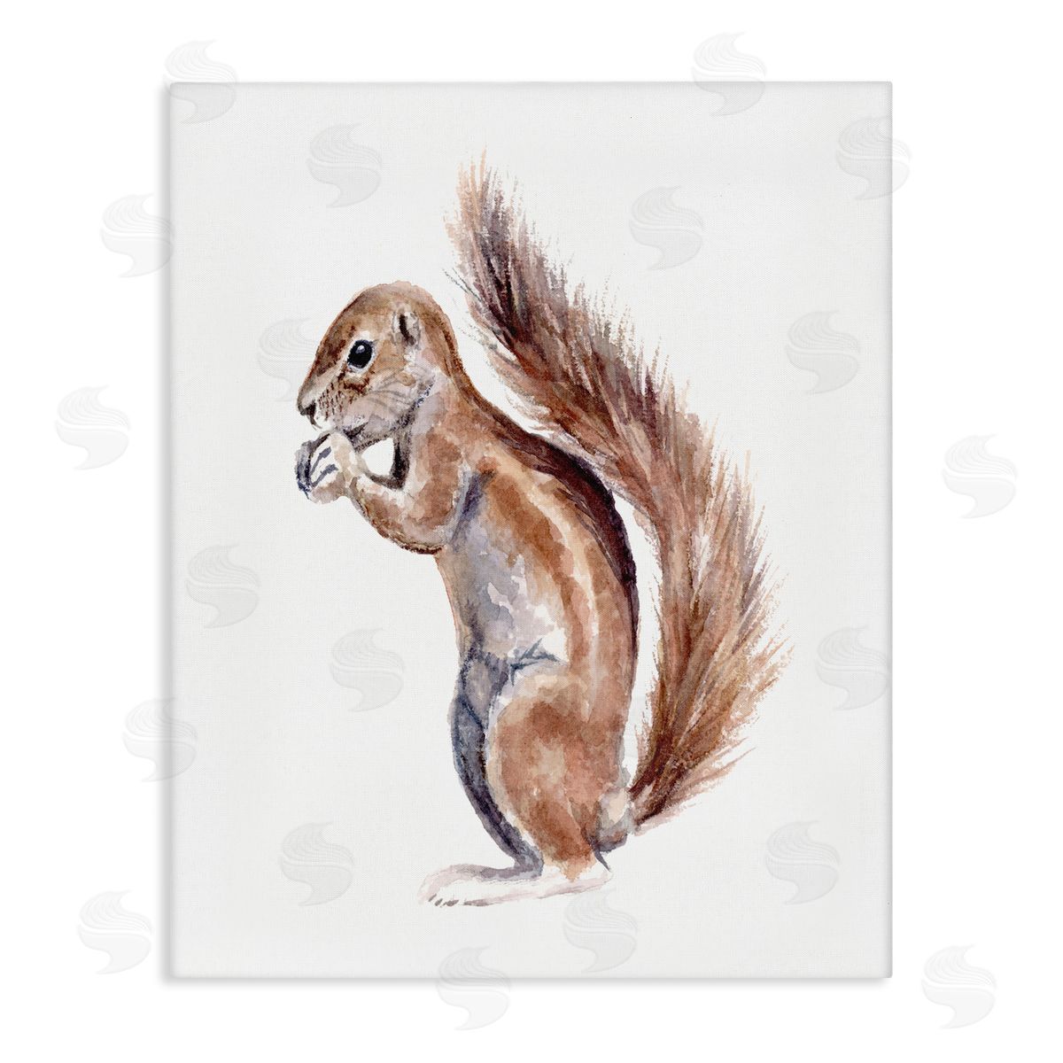 Fox Hollow Studios Baby Squirrel Watercolor Painting Kids' Wild Animal Stretched Canvas Wall Art Print
