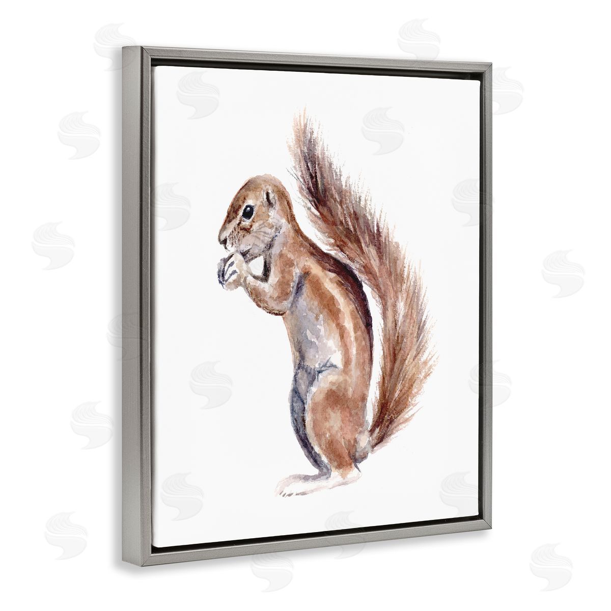 Fox Hollow Studios Baby Squirrel Watercolor Painting Kids' Wild Animal Gray Floating Frame Canvas Wall Art Print