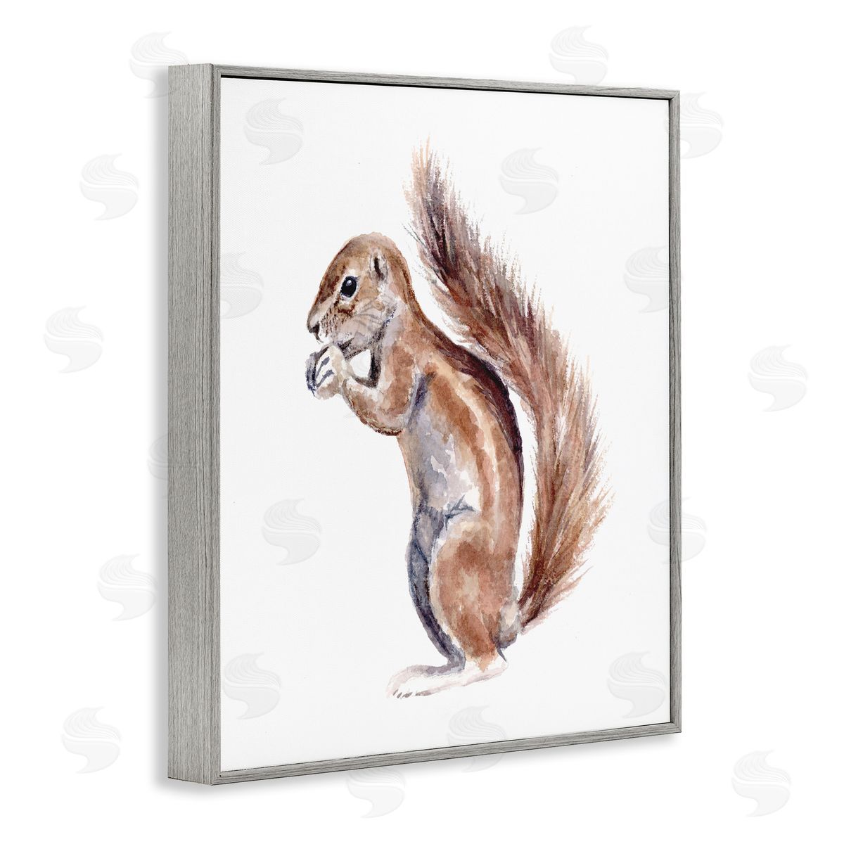 Fox Hollow Studios Baby Squirrel Watercolor Painting Kids' Wild Animal Gray Framed Glicee Wall Art Print