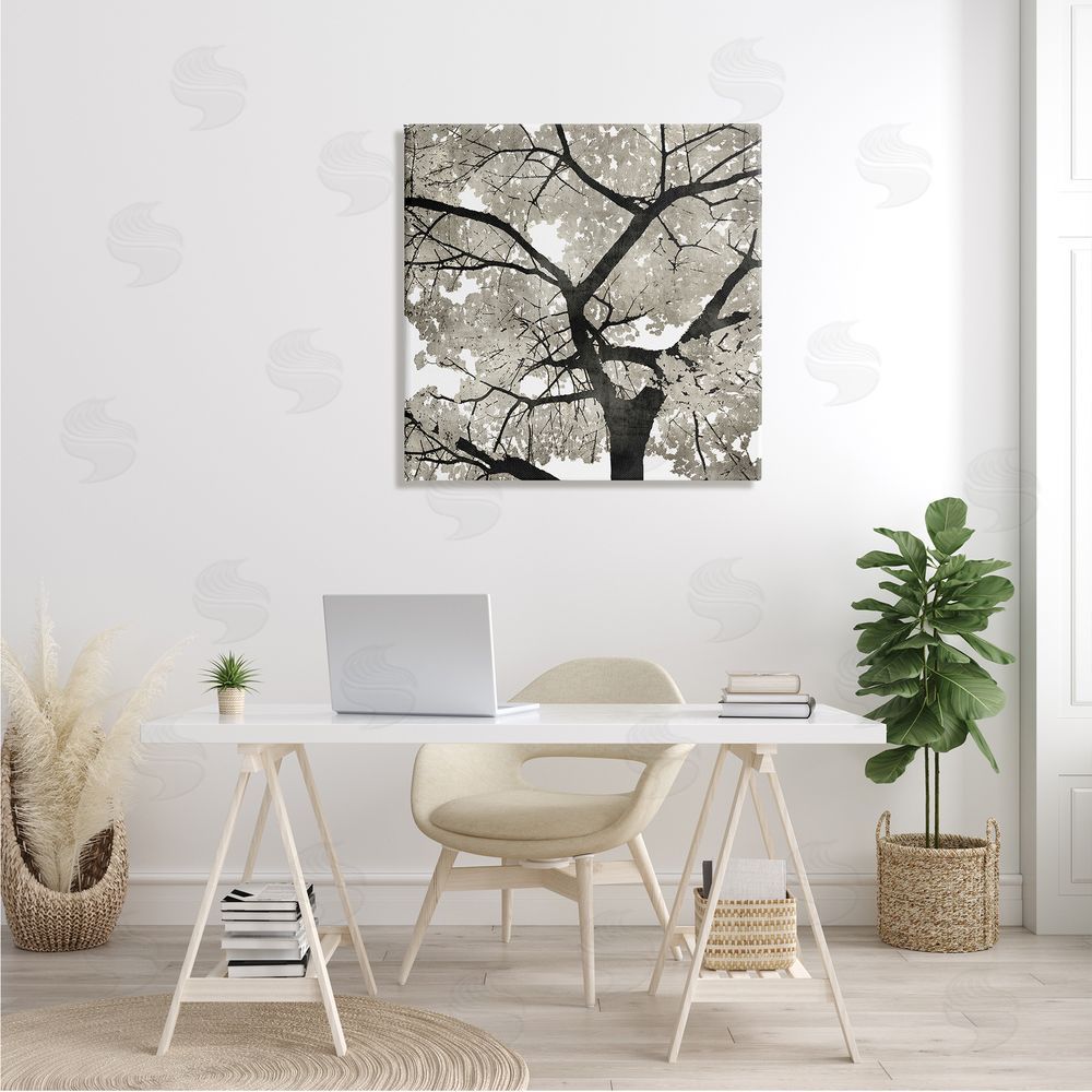 Kate Bennett Abstract Tree Branches Bold Black Grey Wilderness Canvas Wall Art in Room