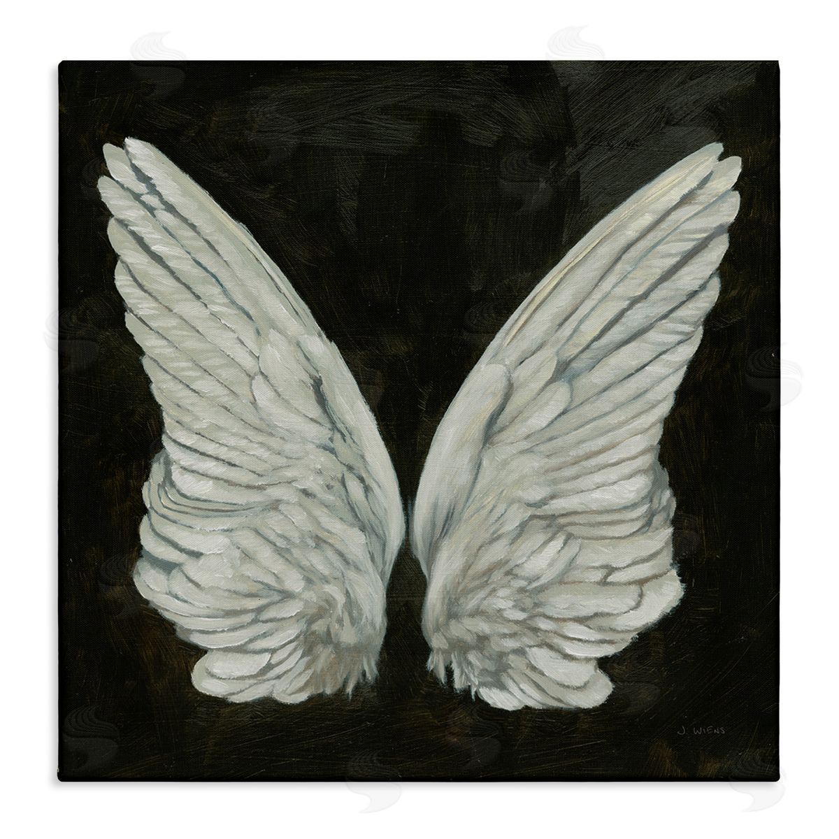 James Wiens Off-White Angel Wings White Feathers over Black Stretched Canvas Wall Art Print