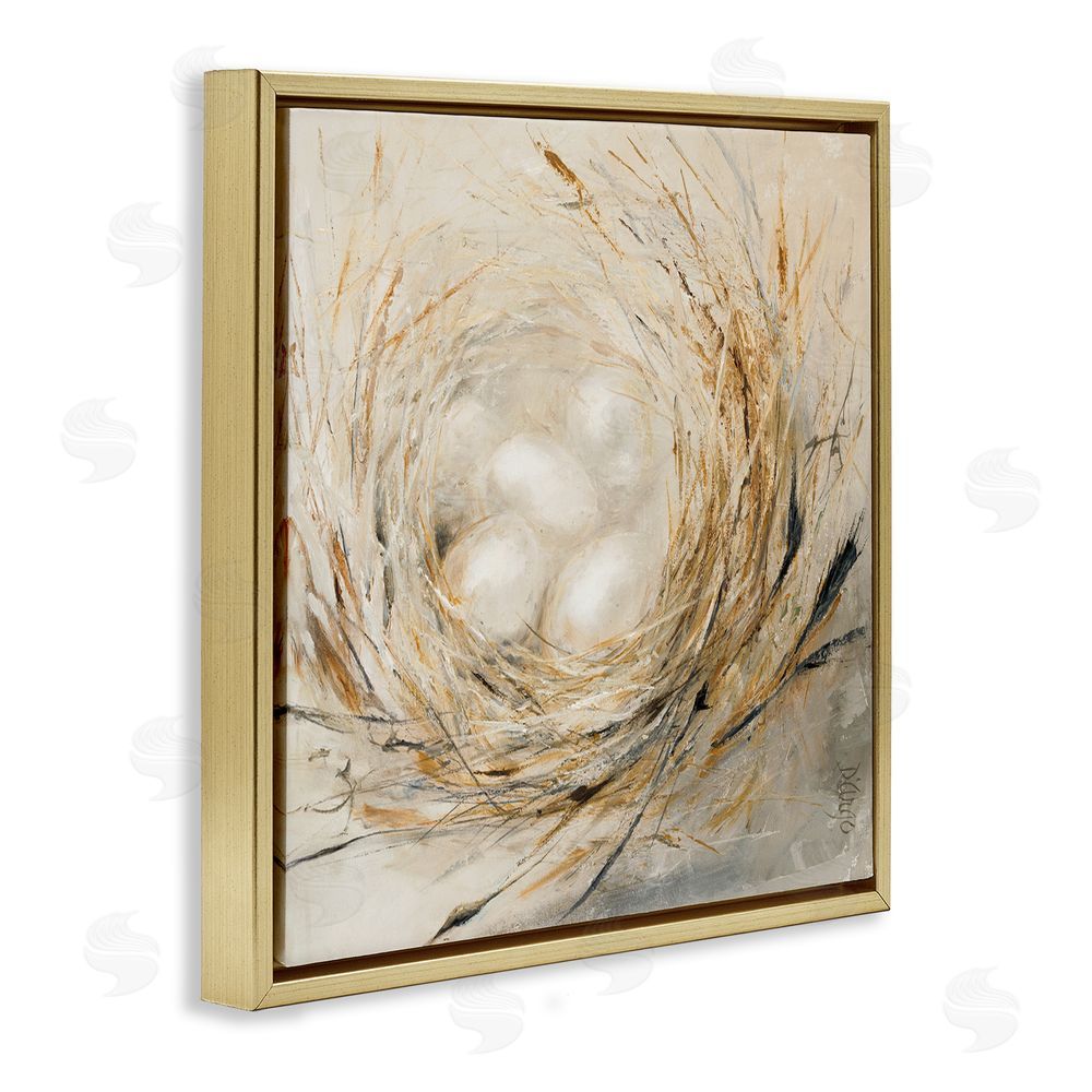 Dina D'Argo Abstract Bird Egg Nest Gold Floating Frame Canvas Wall Art Print