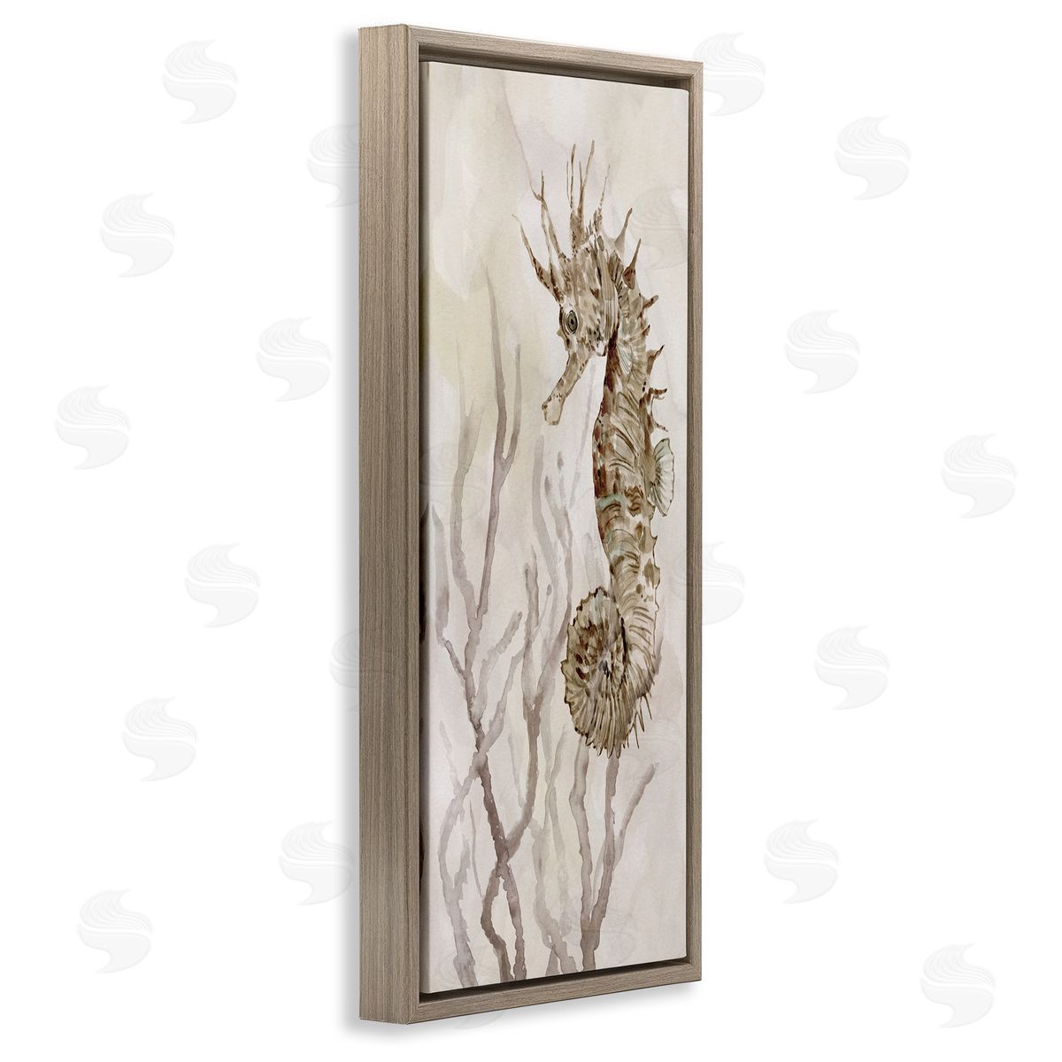 Carol Robinson Shy Seahorse Confined Fluid Seaweed Animal Sea Life