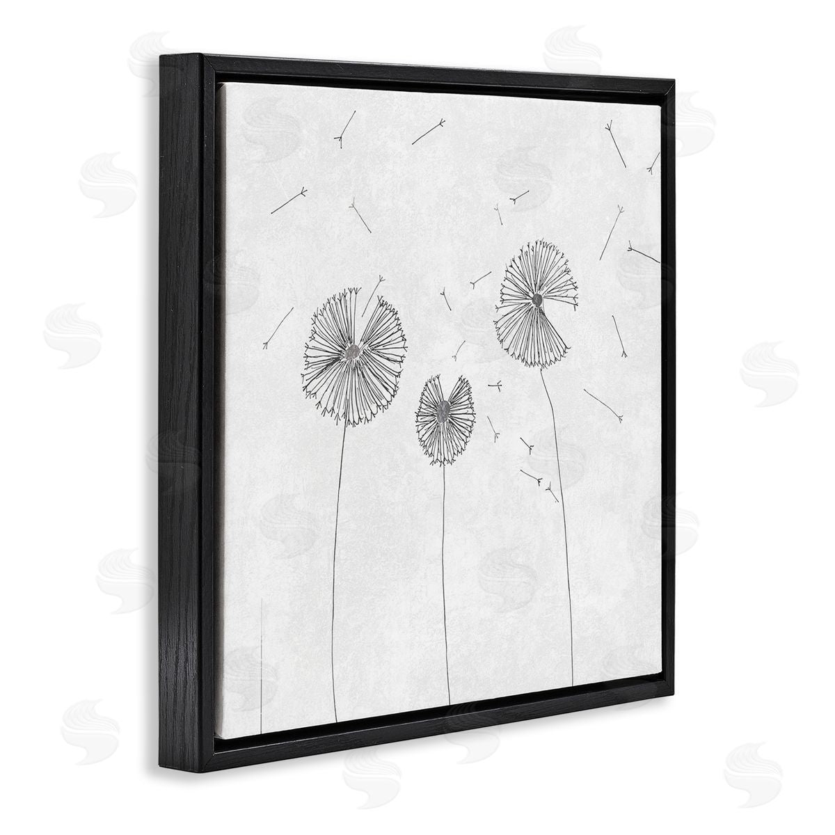 Cloverfield & Co. Dandelion Florals Flying Seeds Flower Line Art Drawing Black Floating Frame Canvas Wall Art Print