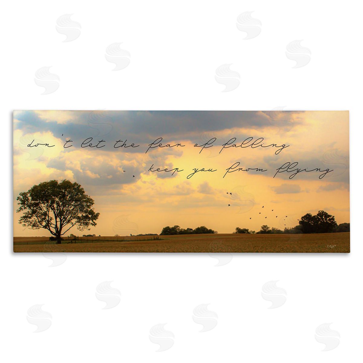 Donnie Quillen Fear of Falling Motivational Adversity Phrase Sunset Park