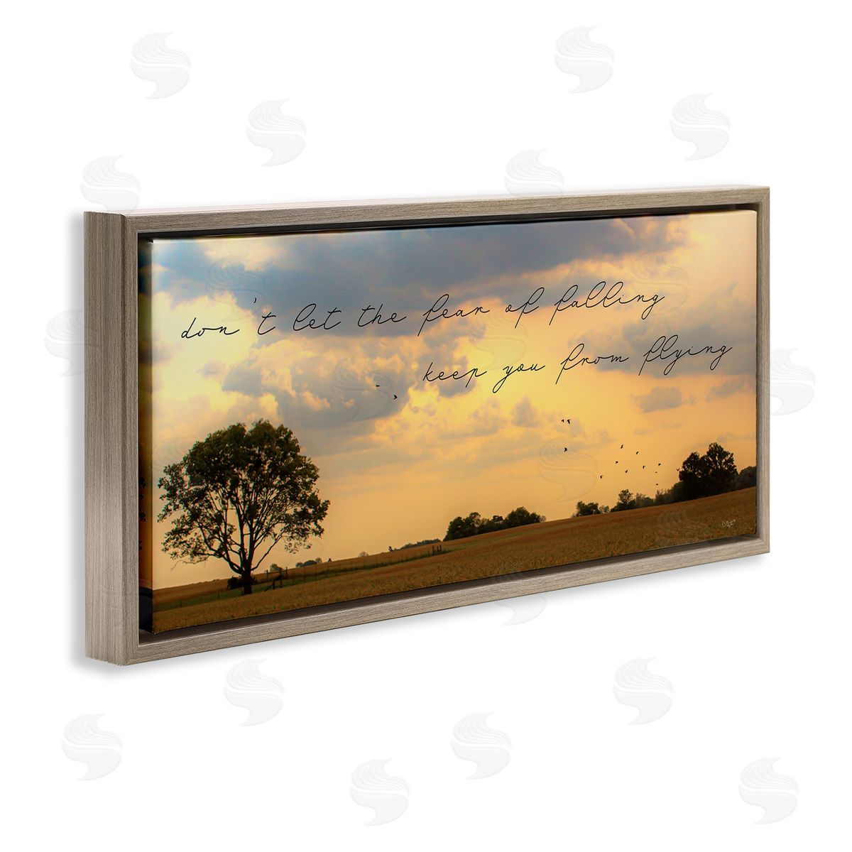 Donnie Quillen Fear of Falling Motivational Adversity Phrase Sunset Park