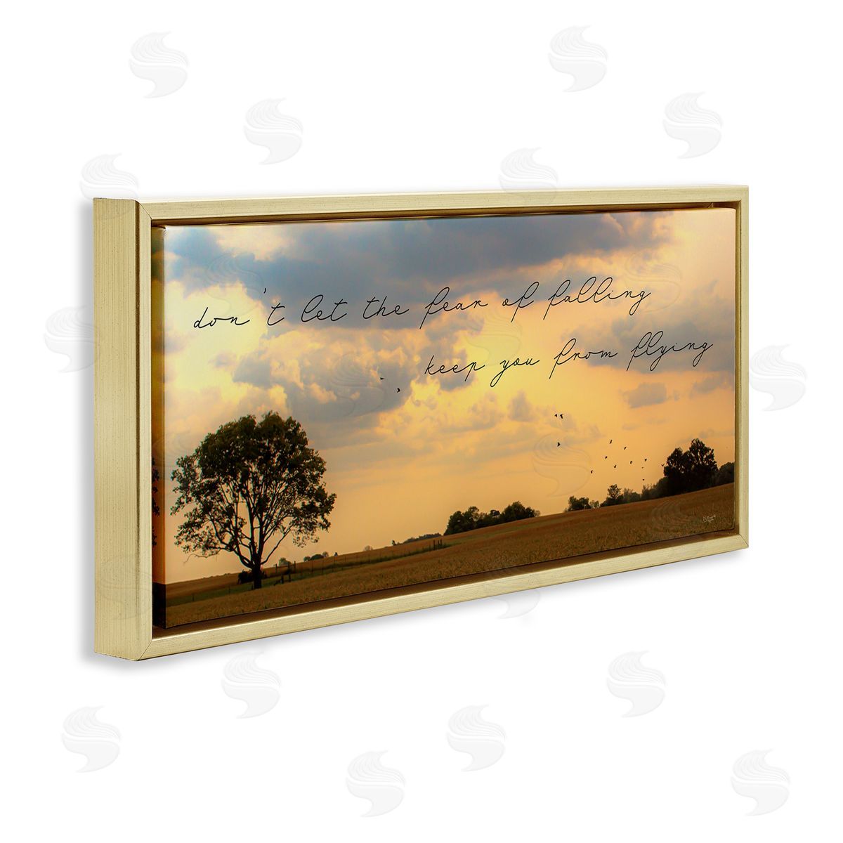 Donnie Quillen Fear of Falling Motivational Adversity Phrase Sunset Park