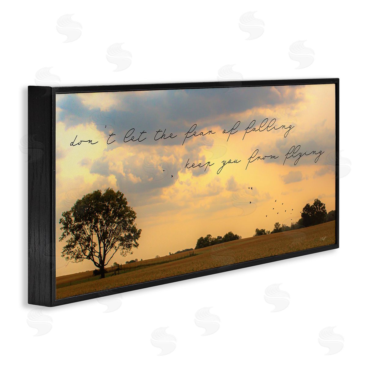 Donnie Quillen Fear of Falling Motivational Adversity Phrase Sunset Park