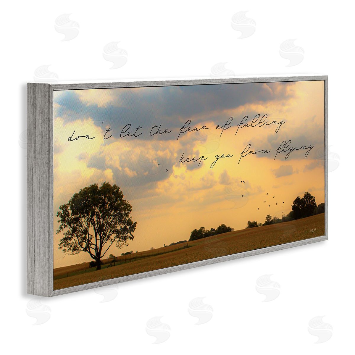 Donnie Quillen Fear of Falling Motivational Adversity Phrase Sunset Park