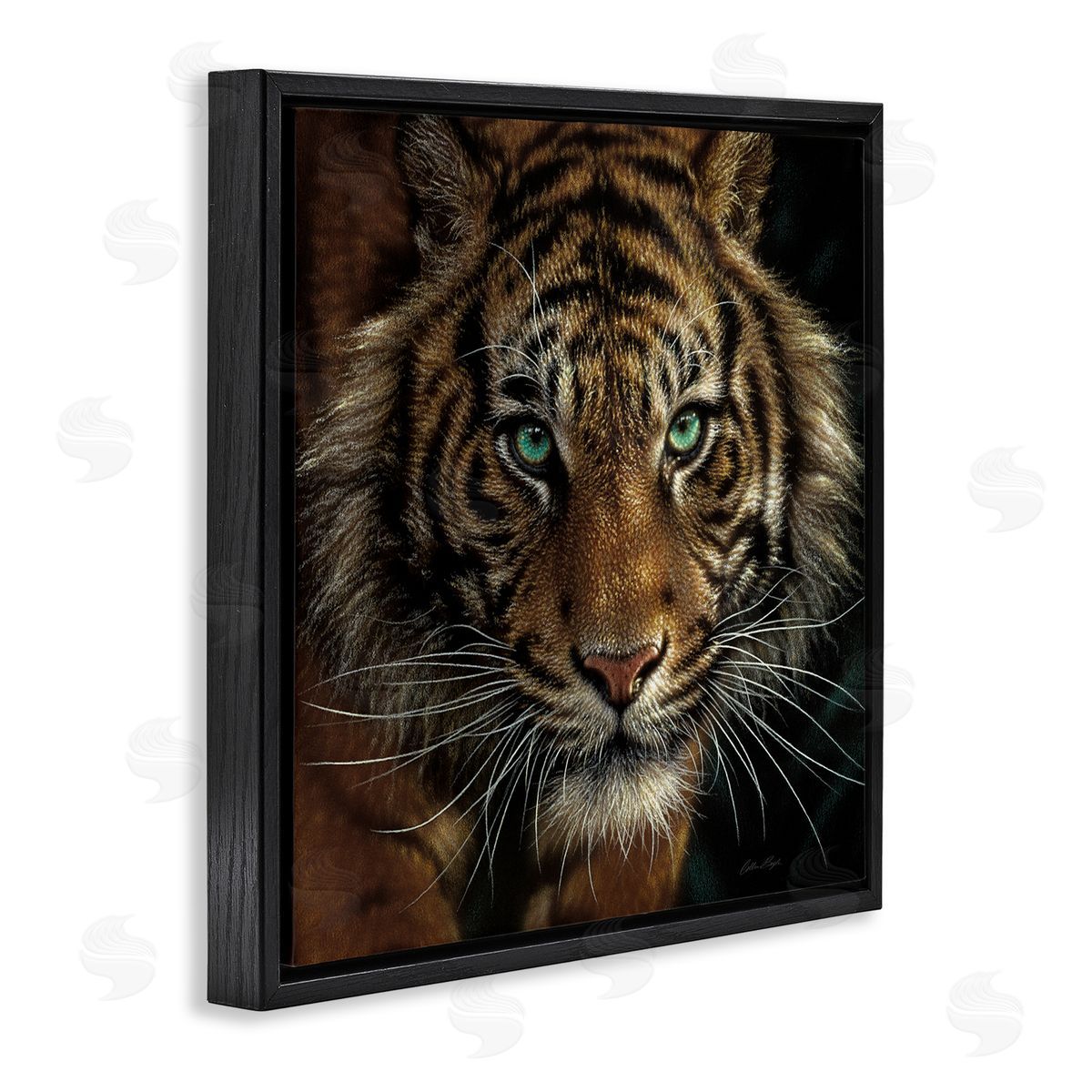 Collin Bogle Fierce Wild Tiger Crouching Green Eyes Detailed Portrait  Black Floating Frame Canvas Wall Art Print