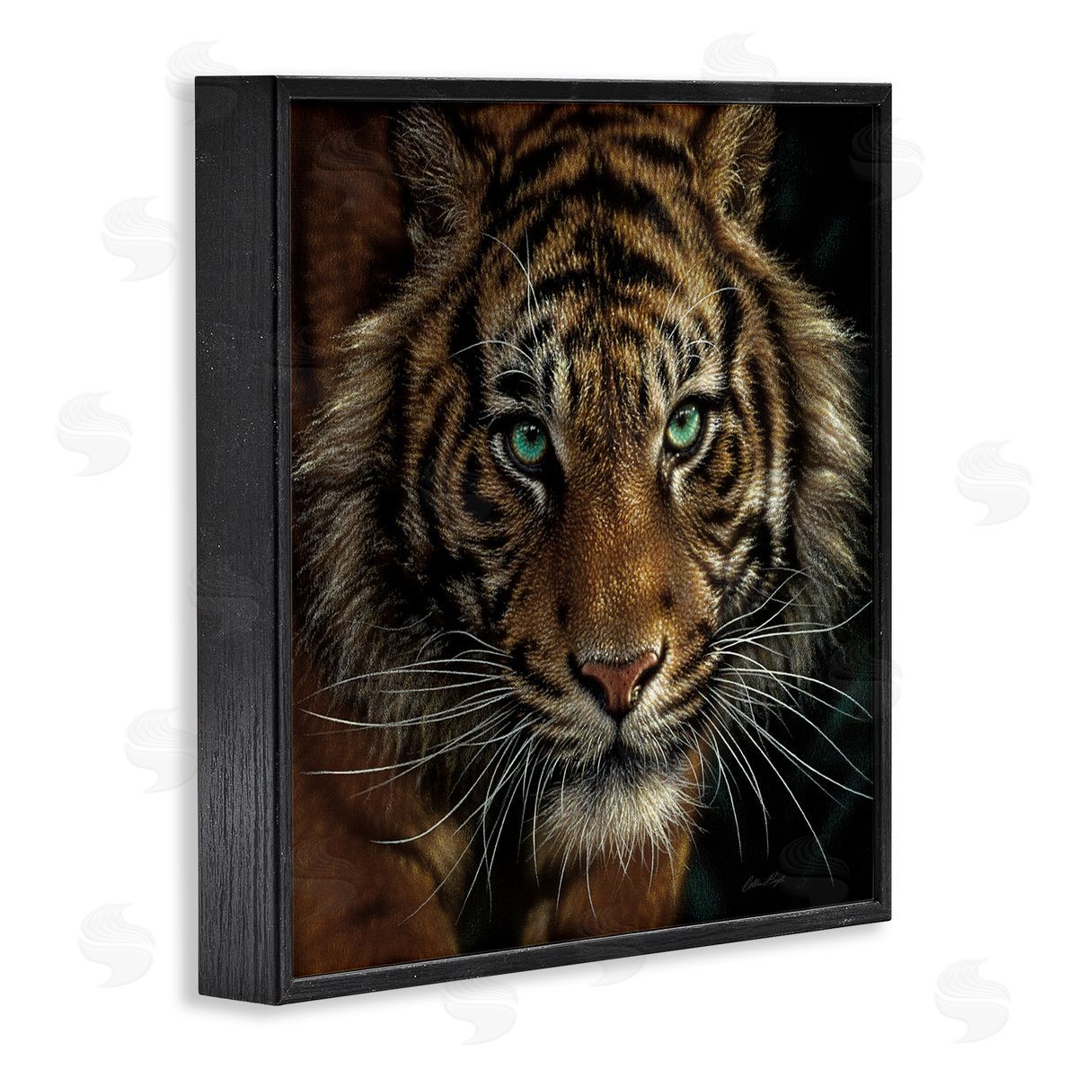 Collin Bogle Fierce Wild Tiger Crouching Green Eyes Detailed Portrait  Black Framed Glicee Wall Art Print