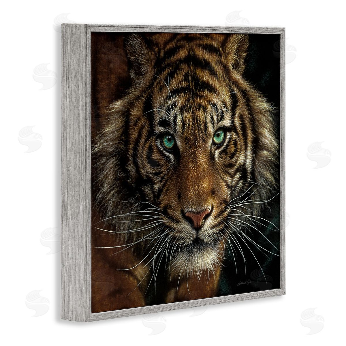 Collin Bogle Fierce Wild Tiger Crouching Green Eyes Detailed Portrait  Gray Framed Glicee Wall Art Print
