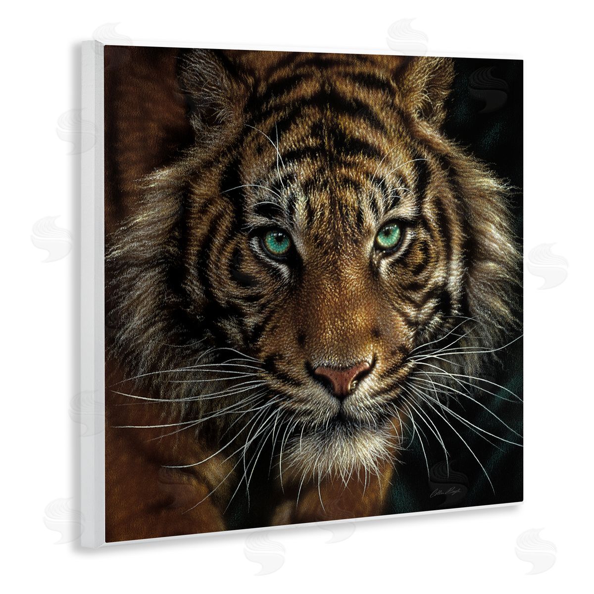 Collin Bogle Fierce Wild Tiger Crouching Green Eyes Detailed Portrait  Wooden Wall Plaque Art Print