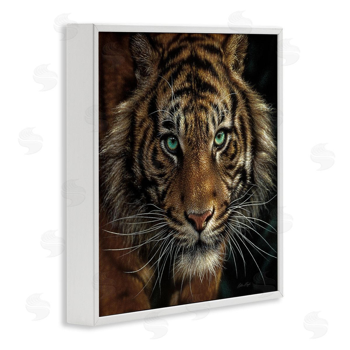 Collin Bogle Fierce Wild Tiger Crouching Green Eyes Detailed Portrait  White Framed Glicee Wall Art Print