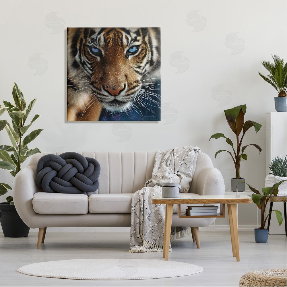 Collin Bogle Blue Eyed Beautiful Fierce Tiger Close Up Detailed Portrait  Canvas Wall Art in Room