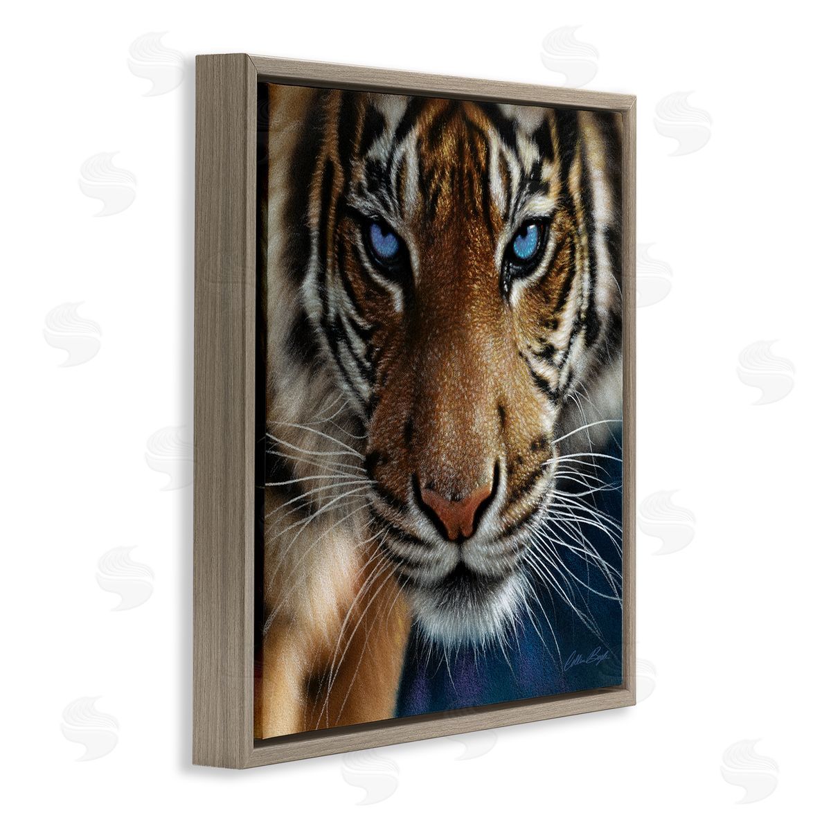 Collin Bogle Blue Eyed Beautiful Fierce Tiger Close Up Detailed Portrait  Brown Floating Frame Canvas Wall Art Print