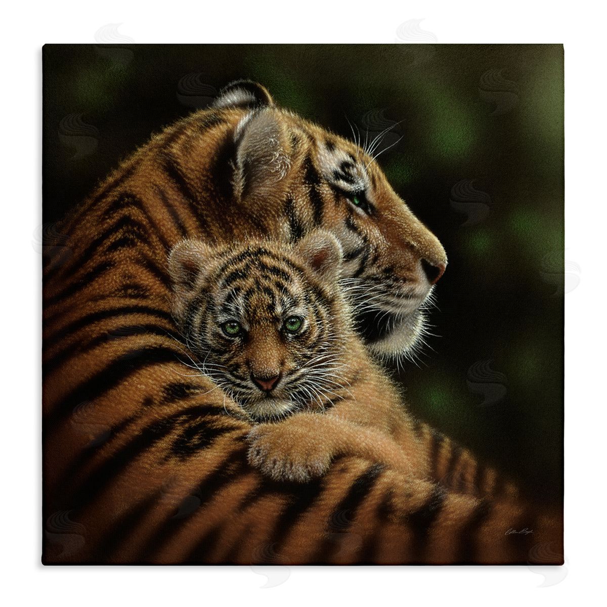 Collin Bogle Adorable Sweet Mom Tiger Holding Baby Cub Detailed Portrait  Stretched Canvas Wall Art Print