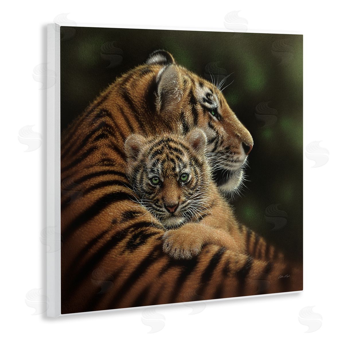 Collin Bogle Adorable Sweet Mom Tiger Holding Baby Cub Detailed Portrait  Wooden Wall Plaque Art Print