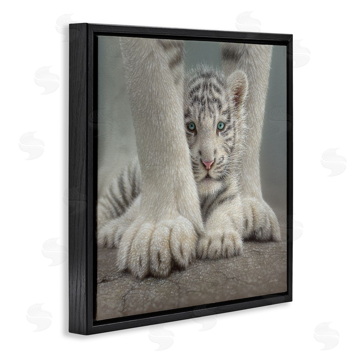 Collin Bogle Adorable Fuzzy Tiger Baby White Bengal With Mother Close Up  Black Floating Frame Canvas Wall Art Print