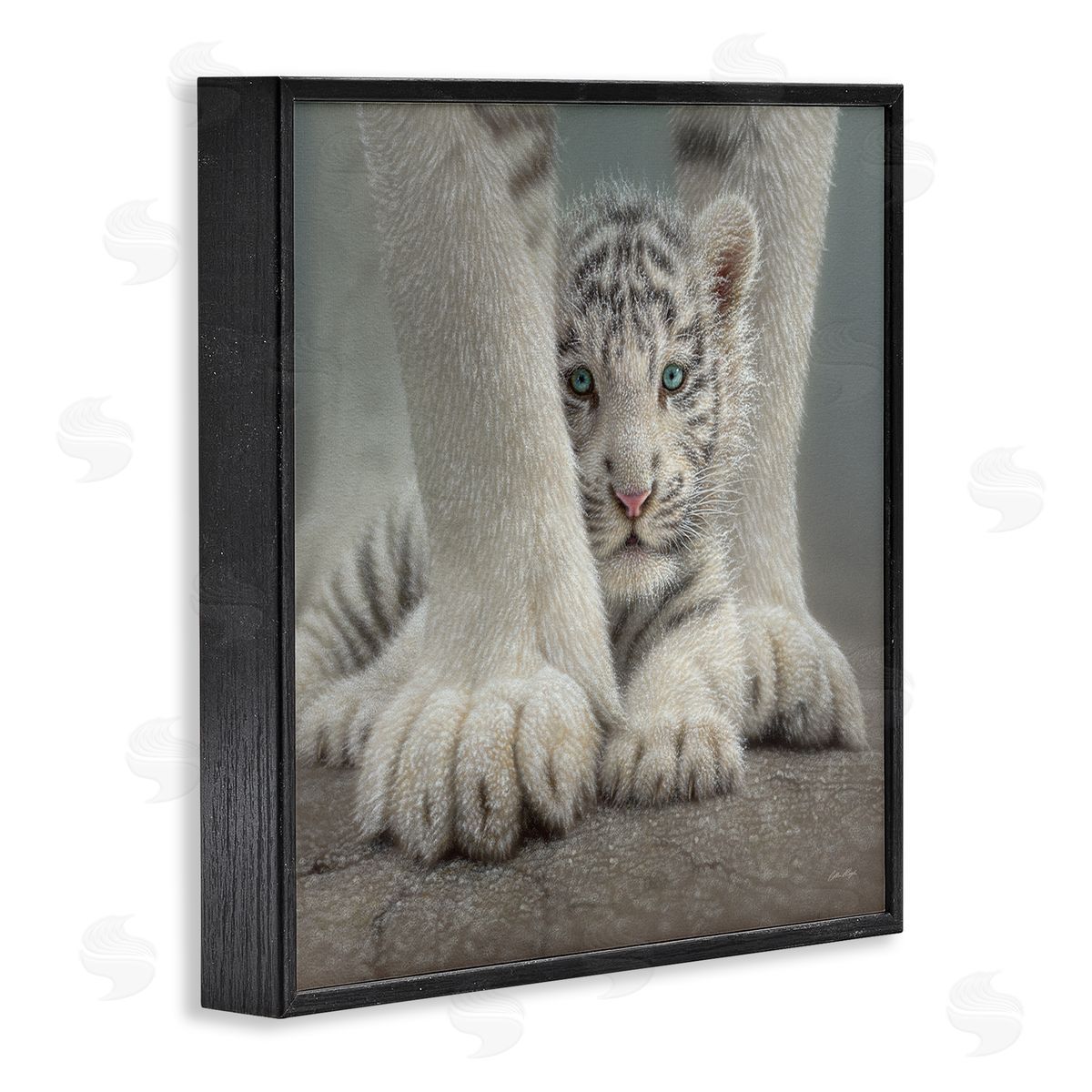 Collin Bogle Adorable Fuzzy Tiger Baby White Bengal With Mother Close Up  Black Framed Glicee Wall Art Print