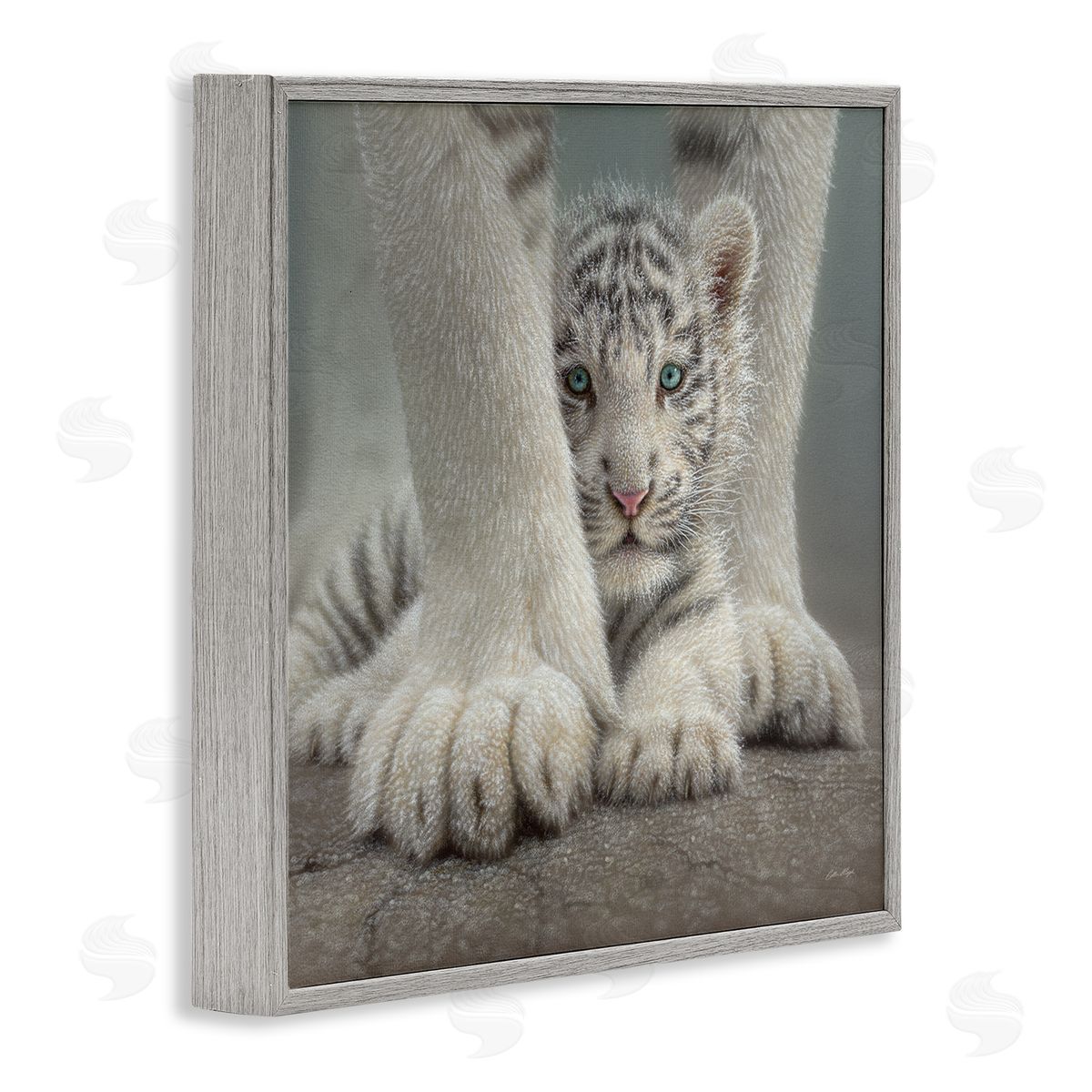Collin Bogle Adorable Fuzzy Tiger Baby White Bengal With Mother Close Up  Gray Framed Glicee Wall Art Print