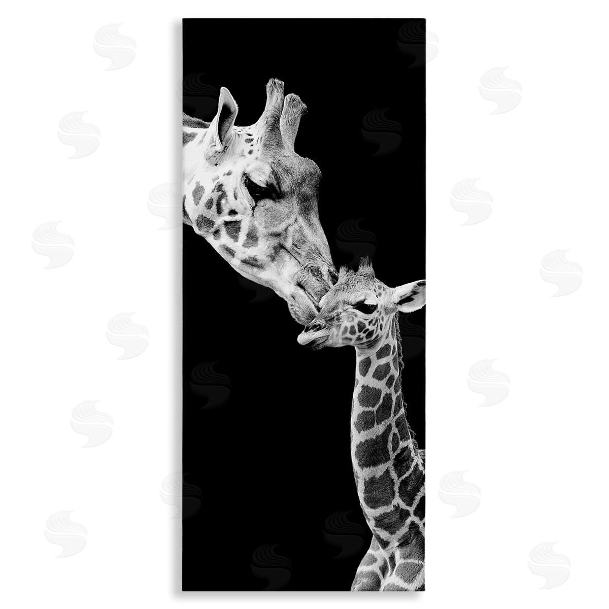 Incado Beautiful Baby Giraffe_side Loving Mother Monochrome Portrait