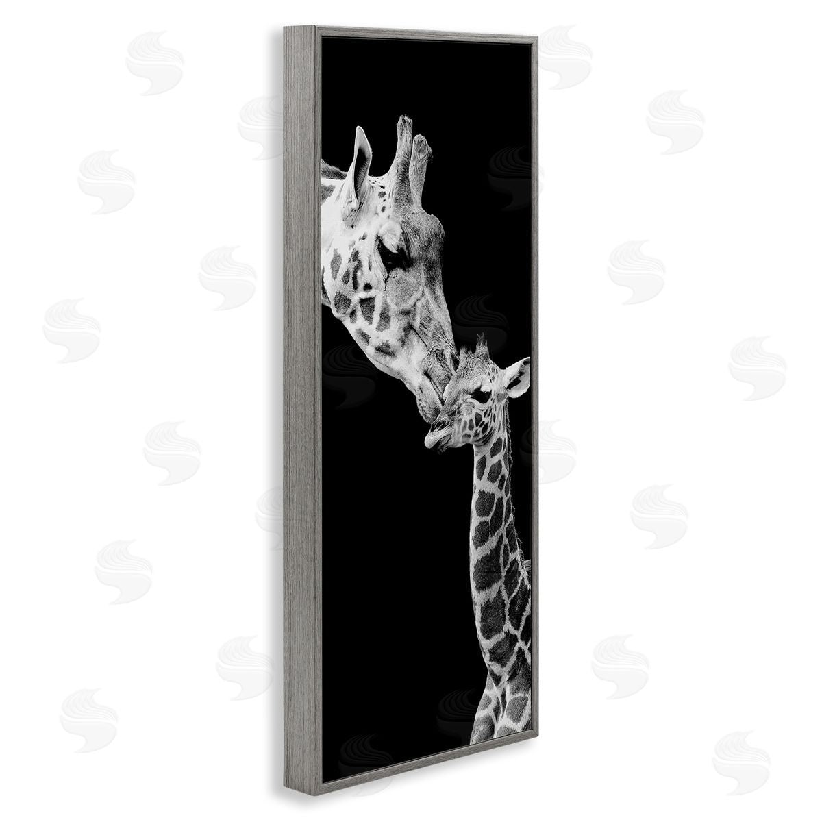 Incado Beautiful Baby Giraffe_side Loving Mother Monochrome Portrait