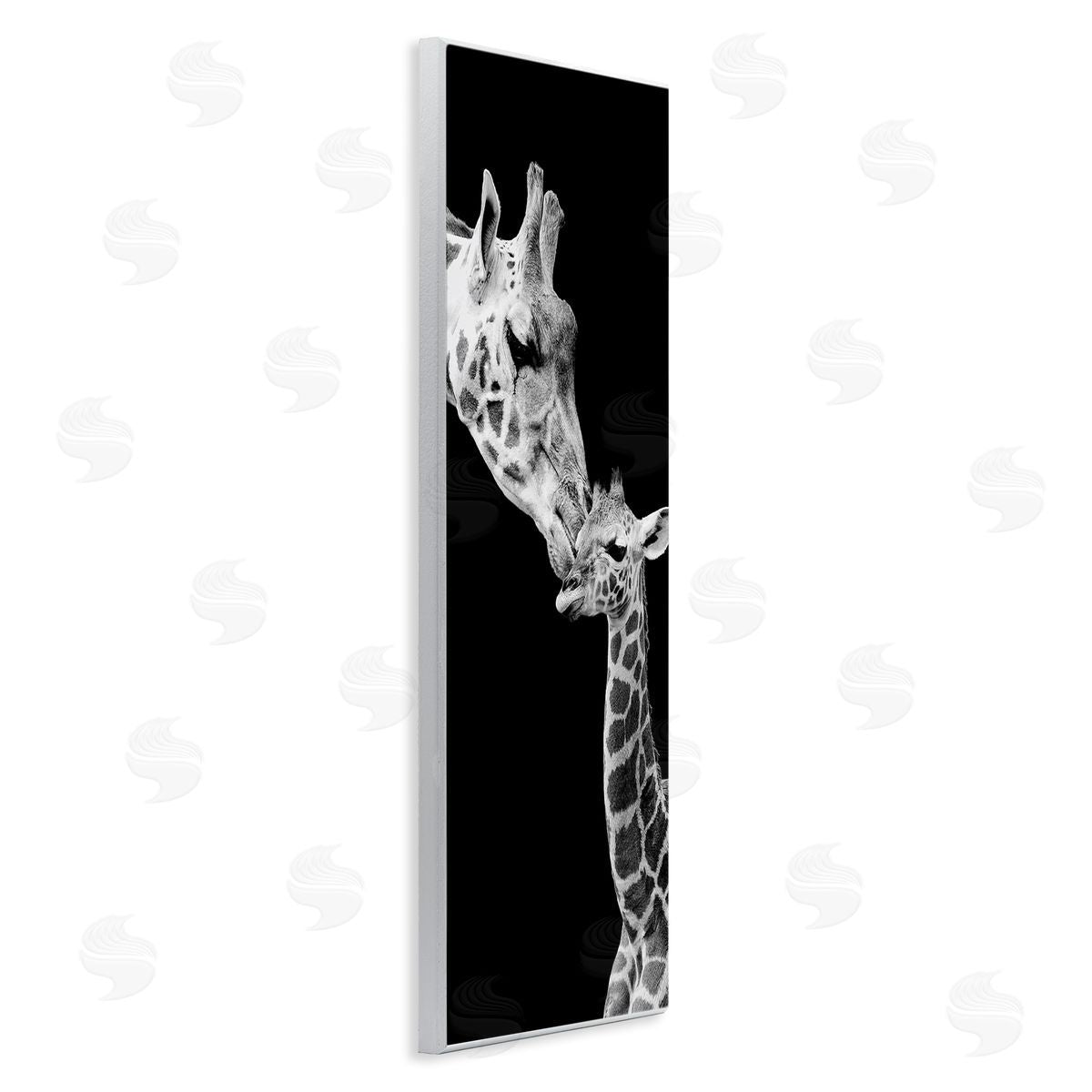Incado Beautiful Baby Giraffe_side Loving Mother Monochrome Portrait