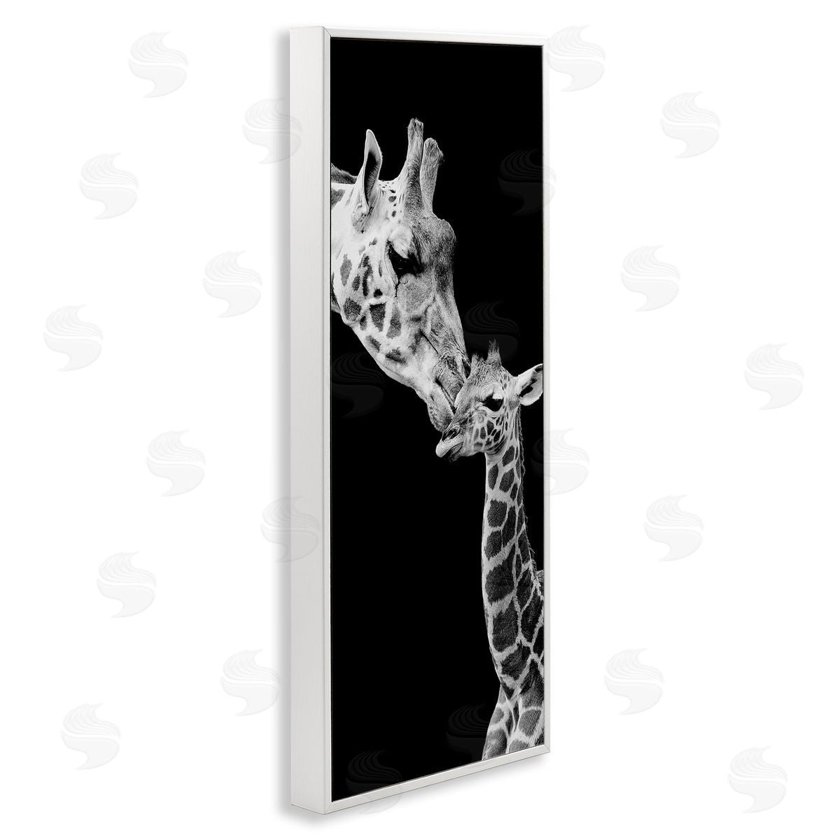 Incado Beautiful Baby Giraffe_side Loving Mother Monochrome Portrait