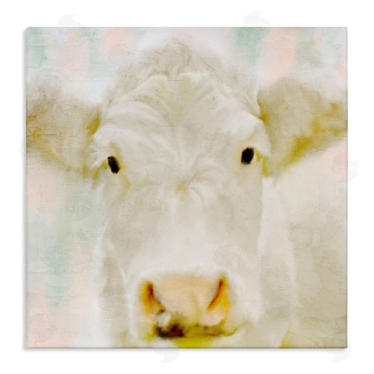 Kim Allen Soft White Cow Cattle Face Closeup Layered Background  Stretched Canvas Wall Art Print