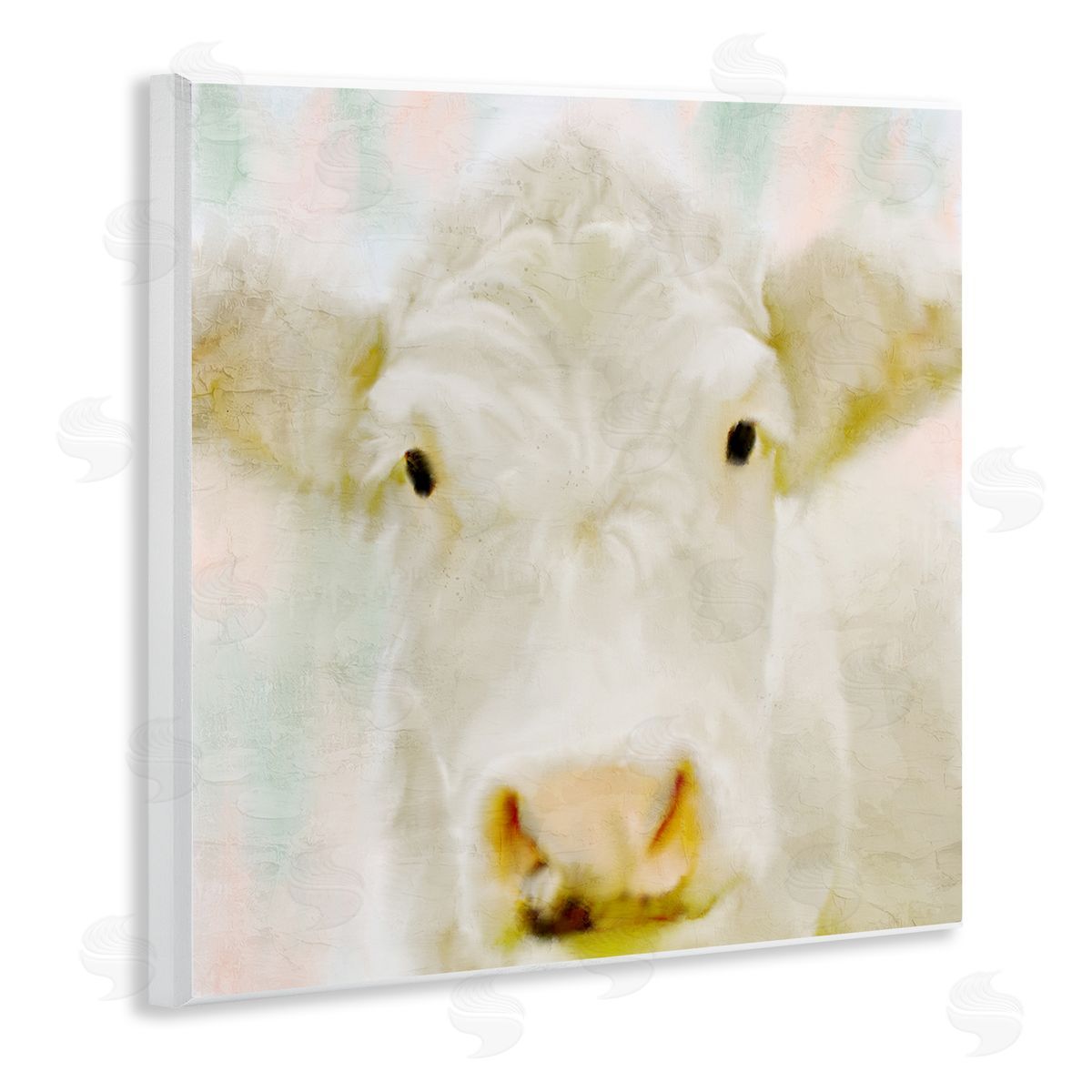 Kim Allen Soft White Cow Cattle Face Closeup Layered Background  Wooden Wall Plaque Art Print