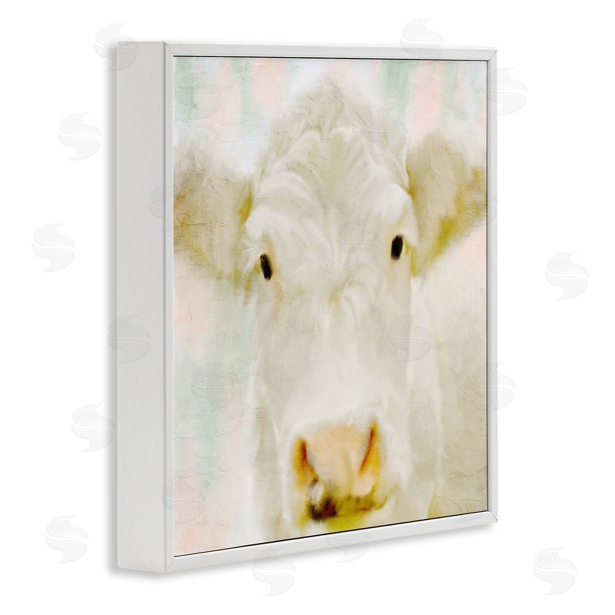 Kim Allen Soft White Cow Cattle Face Closeup Layered Background  White Framed Glicee Wall Art Print