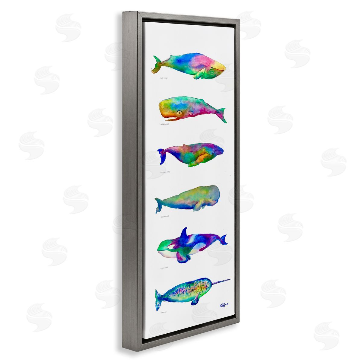 MB Cunningham Bold Kaleidoscopic Whale Narwhal Types Sea Life Chart