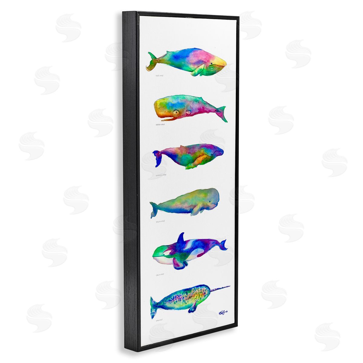 MB Cunningham Bold Kaleidoscopic Whale Narwhal Types Sea Life Chart